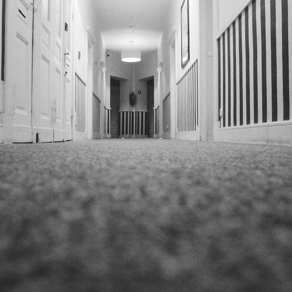 Carpet Cleaning